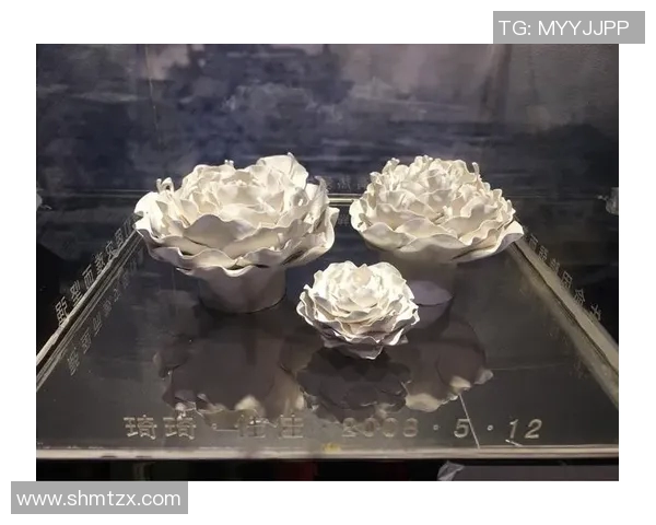 深度对话王娜排球人生的坚持与梦想探索之旅