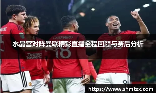 水晶宫对阵曼联精彩直播全程回顾与赛后分析