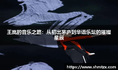 王岚的音乐之路：从初出茅庐到华语乐坛的璀璨星辰
