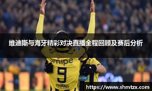 维迪斯与海牙精彩对决直播全程回顾及赛后分析